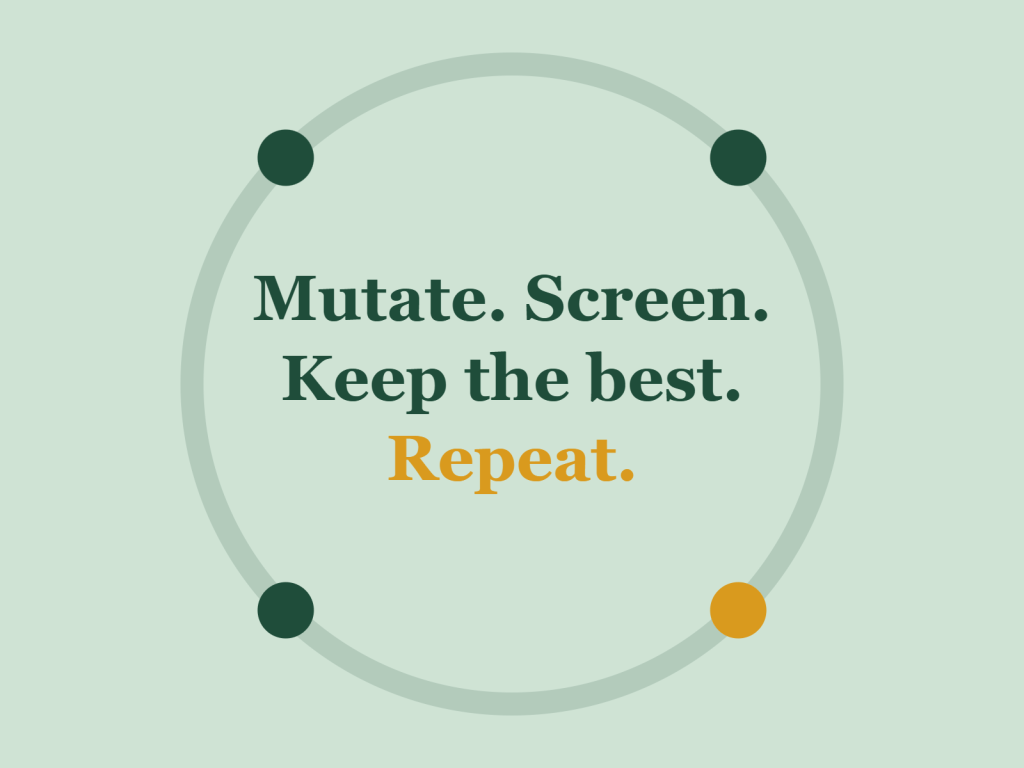 Mutate, screen, keep the best, repeat